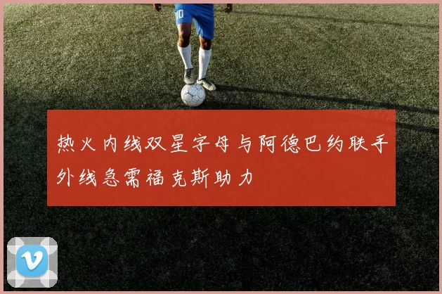 热火内线双星字母与阿德巴约联手外线急需福克斯助力